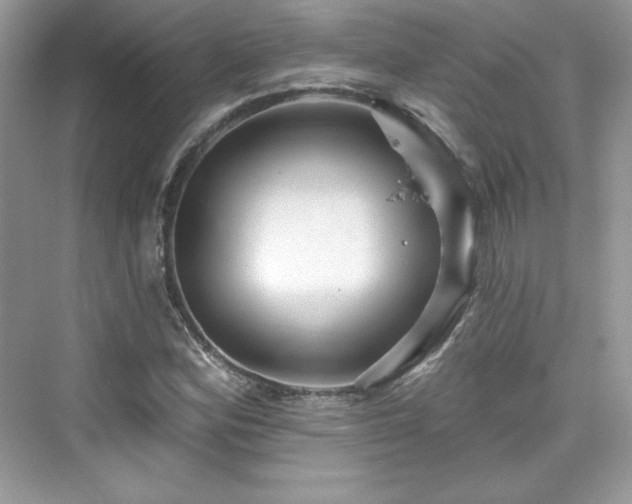 X0000076061164200609291218