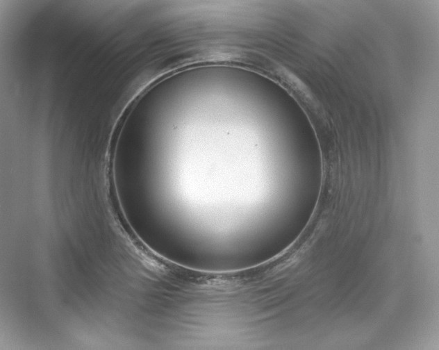 X0000076061178200609291217