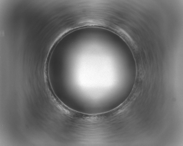 X0000076061182200609291217