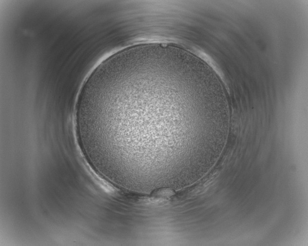 X0000076061187200609291217
