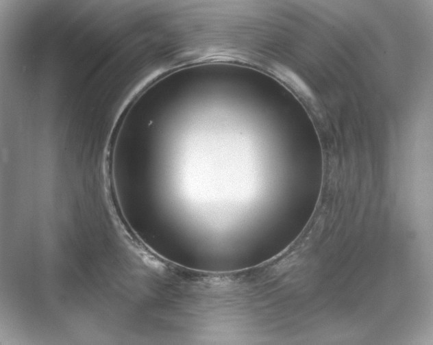 X0000076061190200609291217