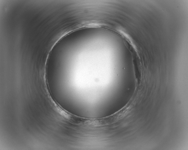 X0000076061194200609291217