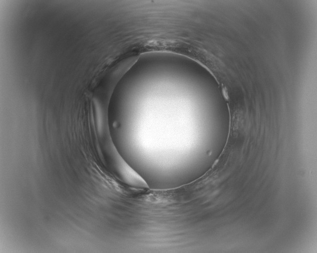 X0000076061202200609291216