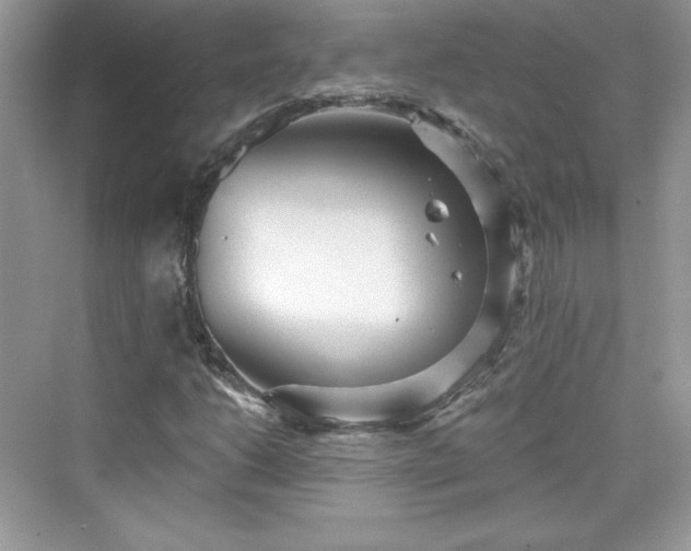 X0000076061206200609291216