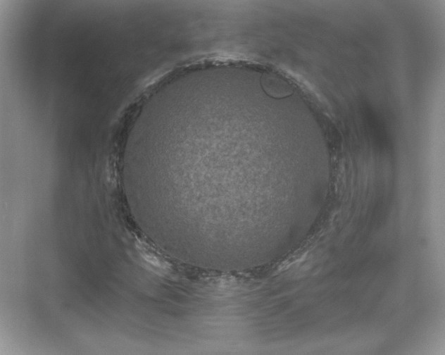 X0000076061207200609291216