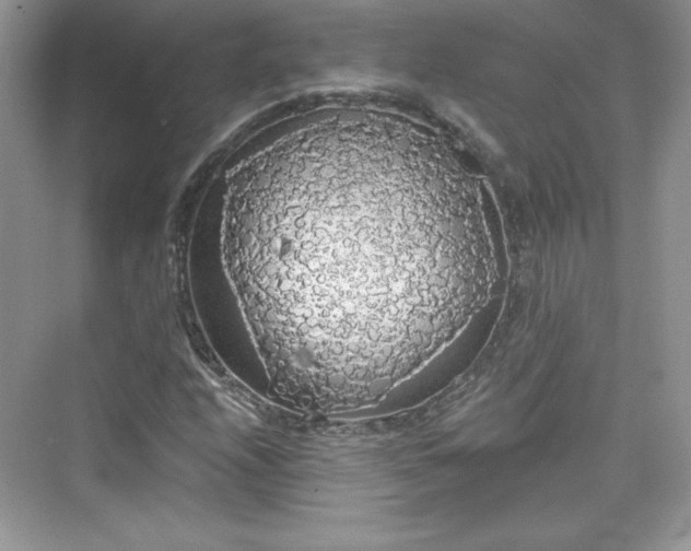 X0000076061208200609291216