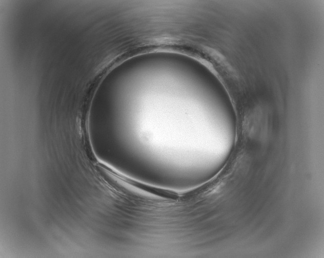 X0000076061209200609291216