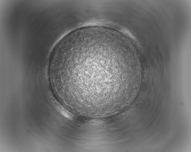 X0000076061216200609291216