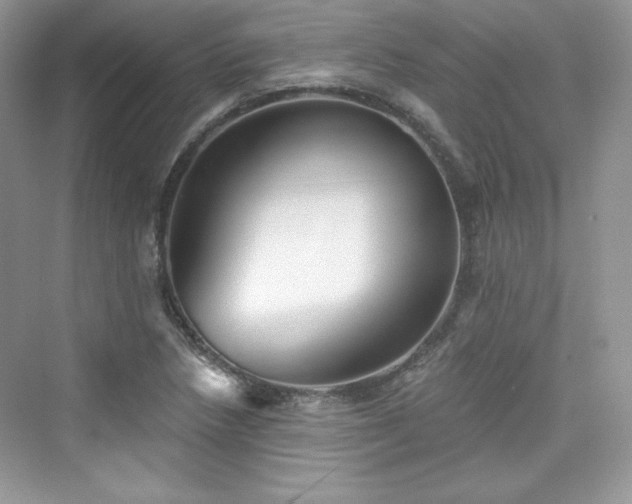X0000076061218200609291216