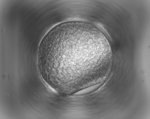 X0000076061244200609291217