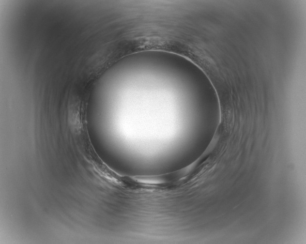X0000076061250200609291216