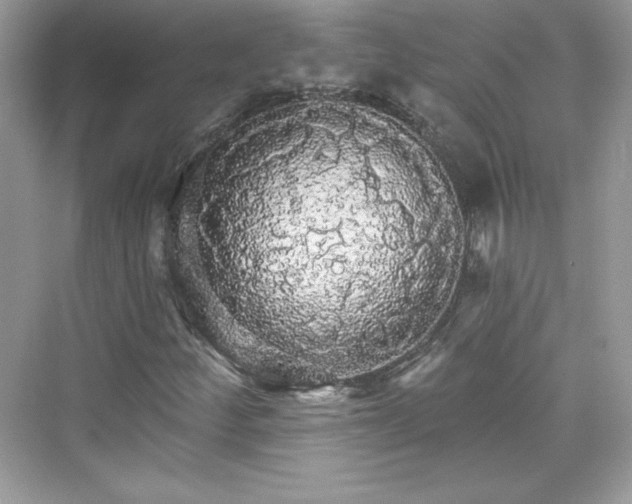 X0000076061252200609291216