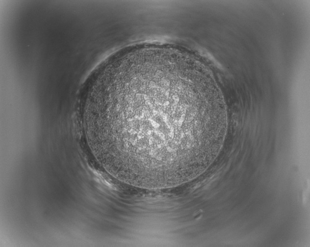 X0000076061256200609291216