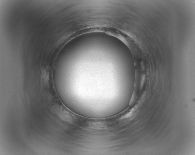X0000076061257200609291216