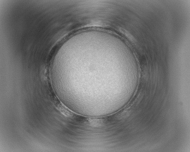 X0000076061258200609291216