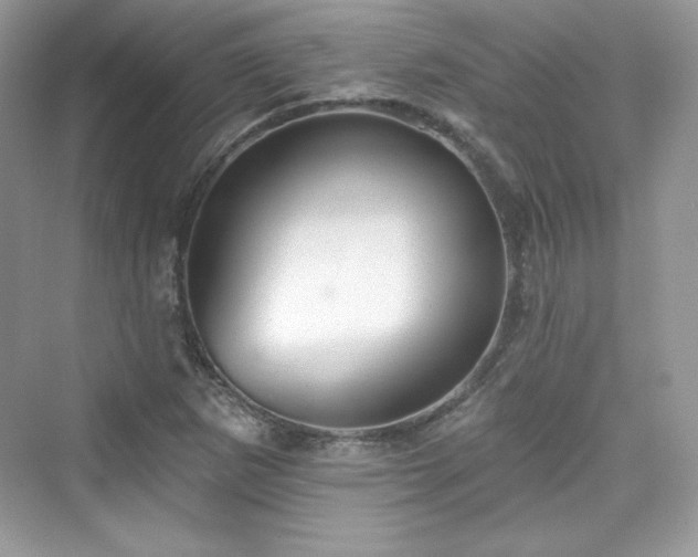 X0000076061265200609291216