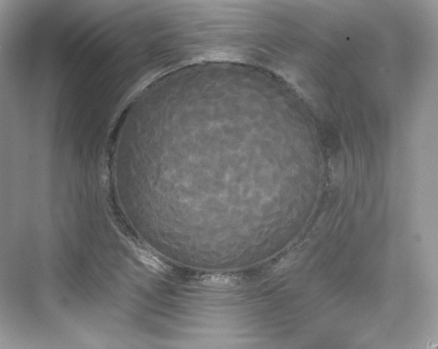 X0000076061266200609291216