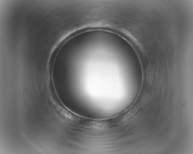 X0000076061270200609291216