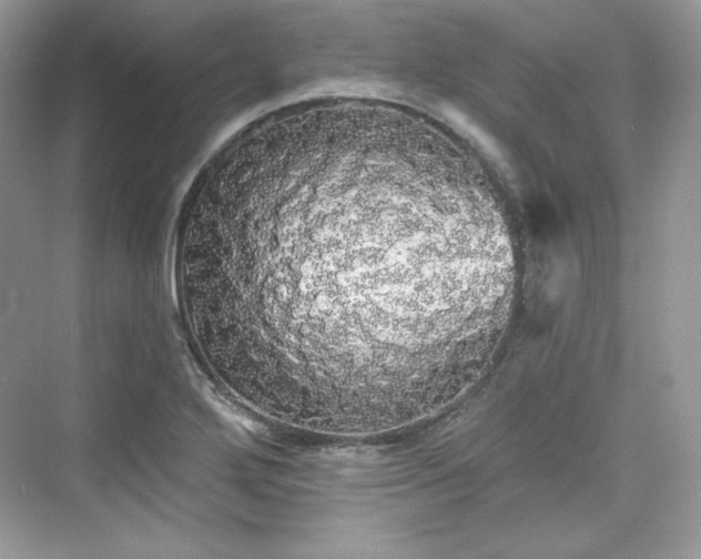 X0000076061272200609291216