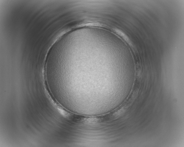 X0000076061282200609291216