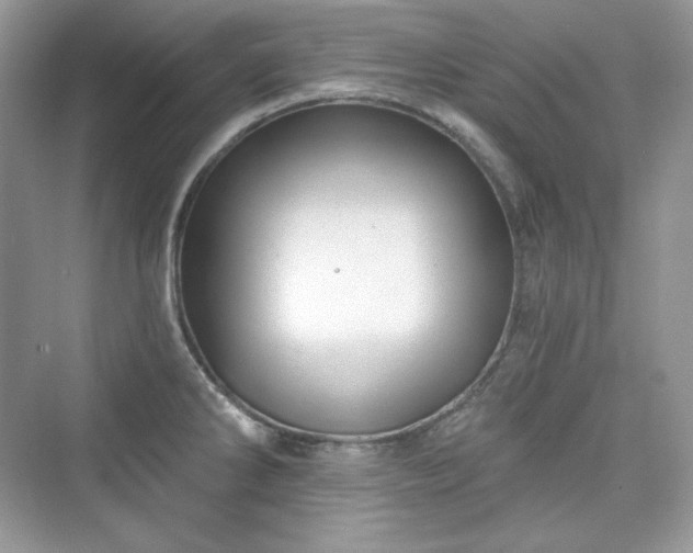 X0000076061286200609291216