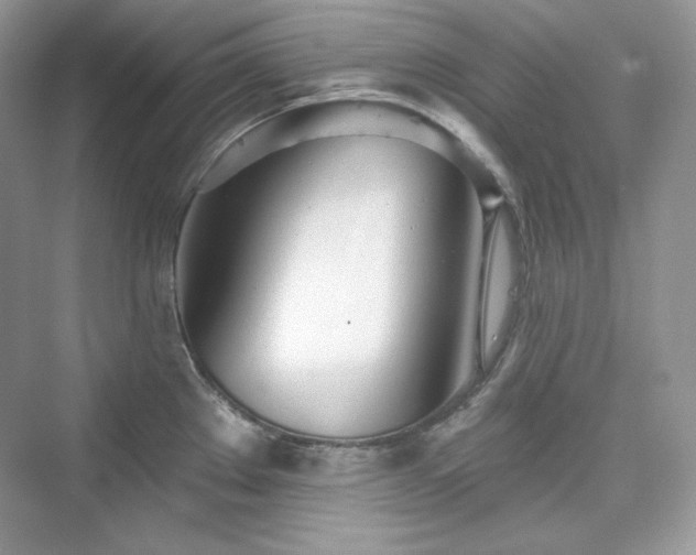 X0000076061289200609291215