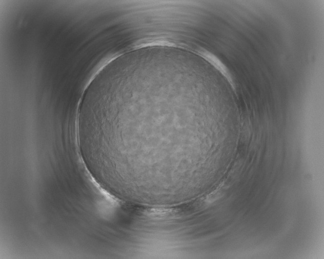 X0000076061290200609291215