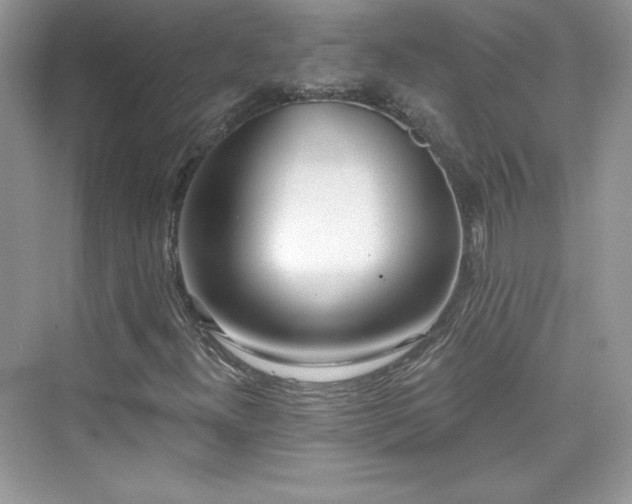 X0000076061300200609291215