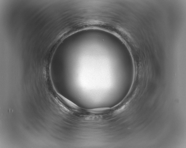 X0000076061305200609291215