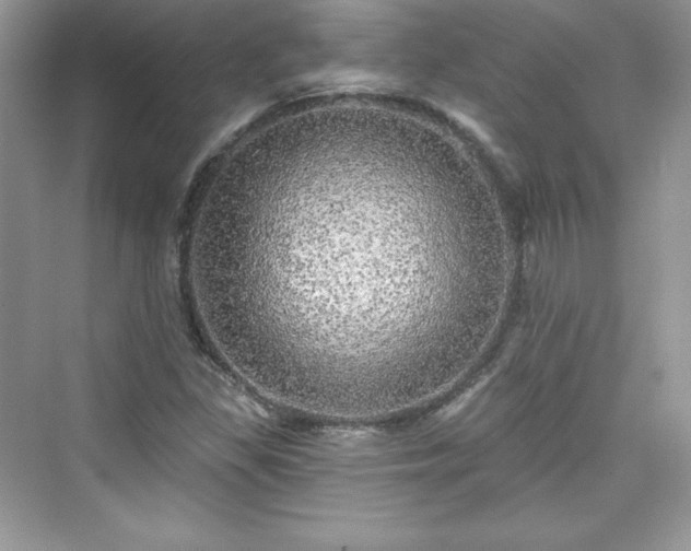 X0000076061309200609291215