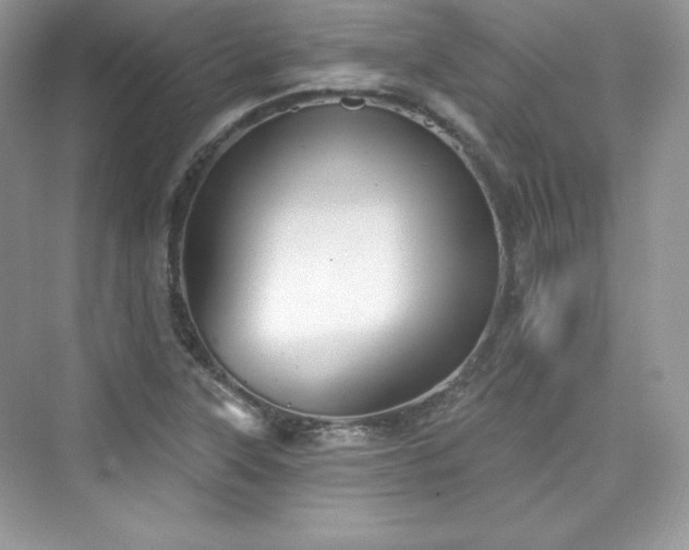 X0000076061315200609291215