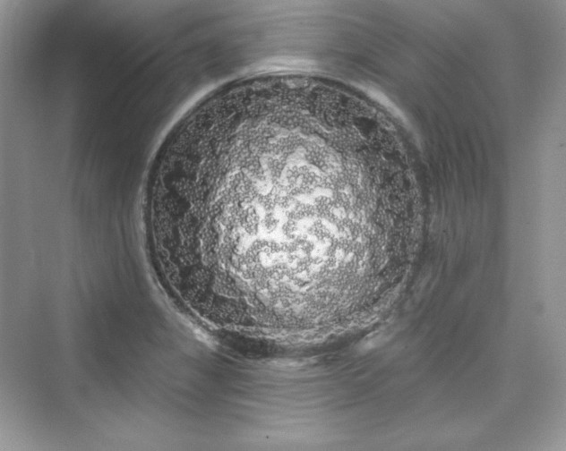 X0000076061325200609291215