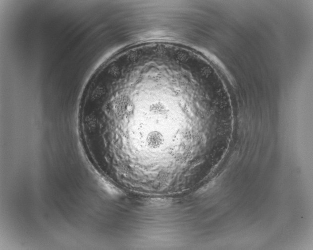 X0000076061333200609291215