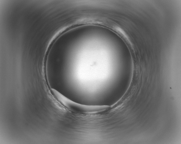 X0000076061336200609291215