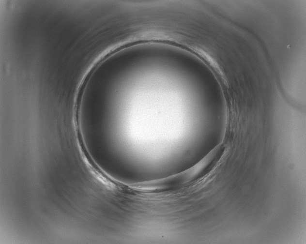 X0000076061342200609291215