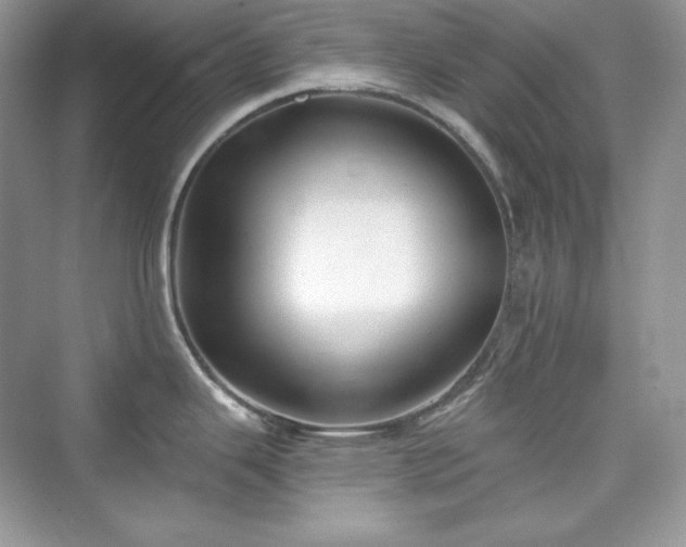 X0000076061343200609291215