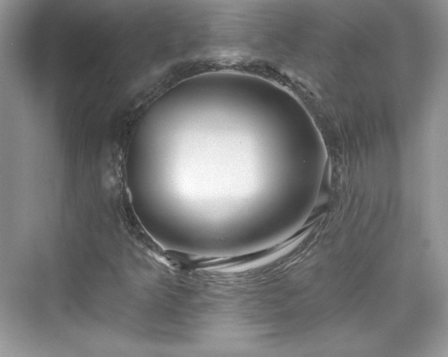 X0000076061349200609291214
