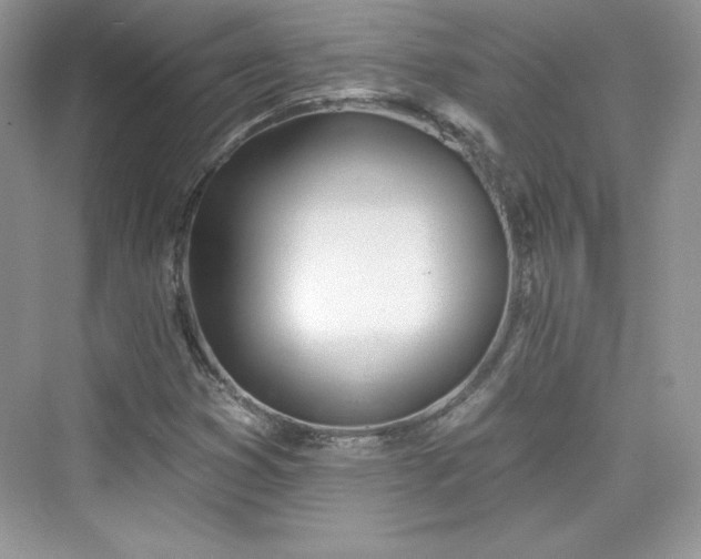 X0000076061353200609291214