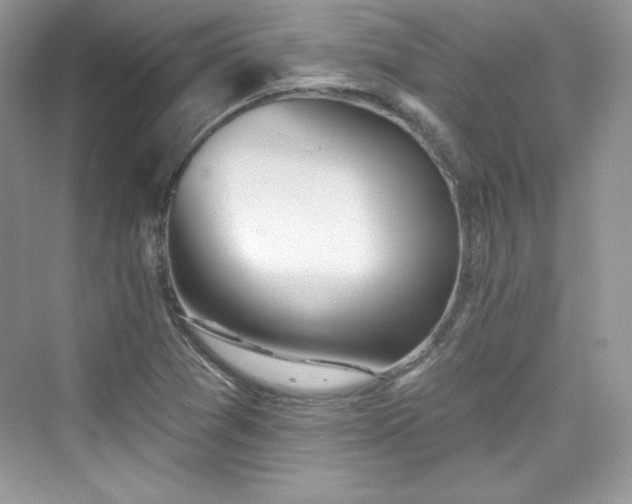 X0000076061361200609291214