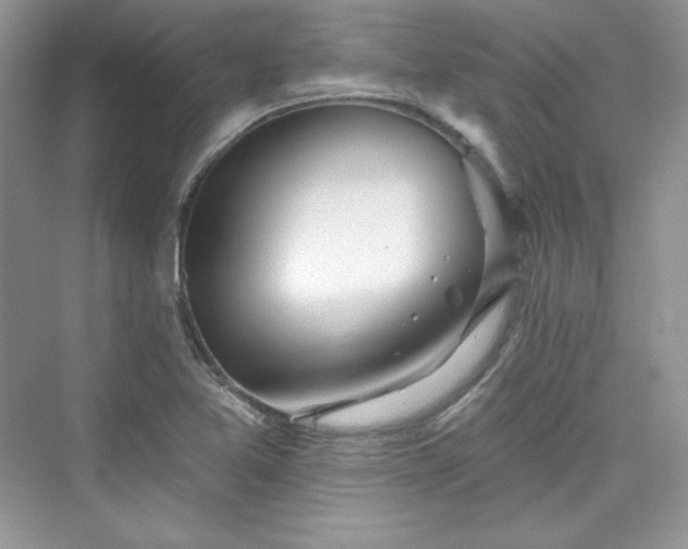 X0000076061365200609291214