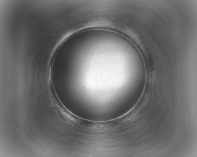 X0000076061366200609291214
