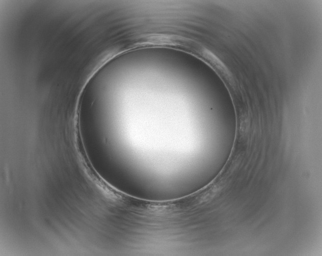 X0000076061378200609291214