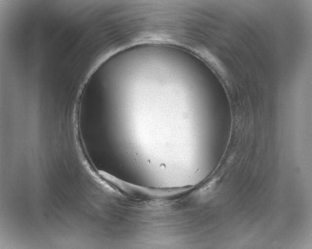 X0000076061382200609291214