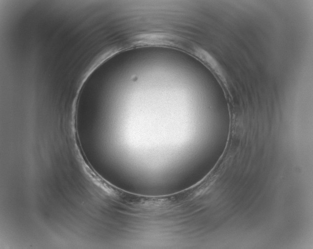 X0000076061386200609291214