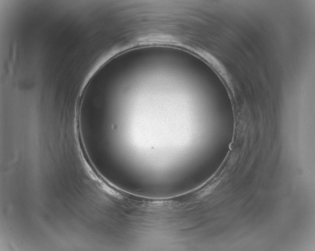 X0000076061390200609291214