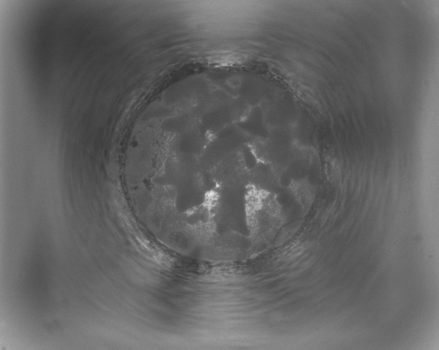 X0000076061393200609291213