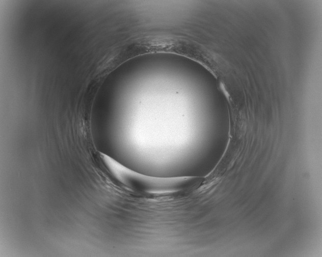 X0000076061394200609291213