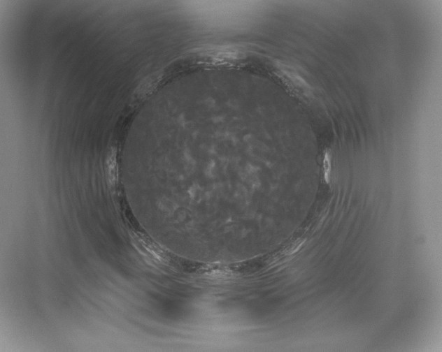 X0000076061395200609291213