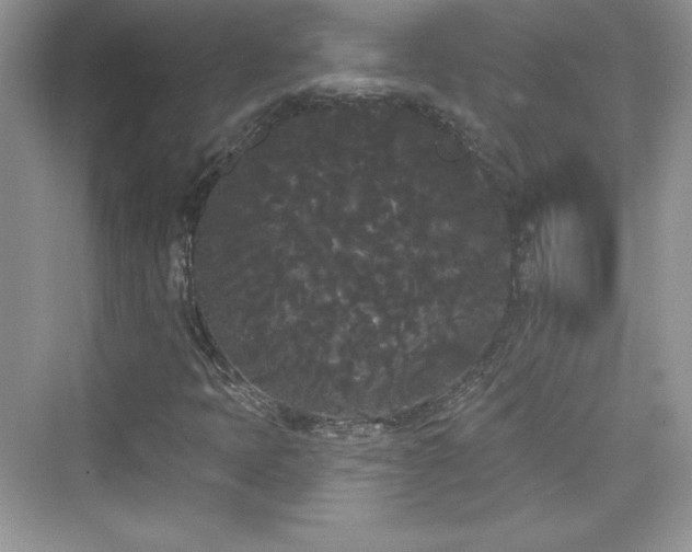X0000076061397200609291213