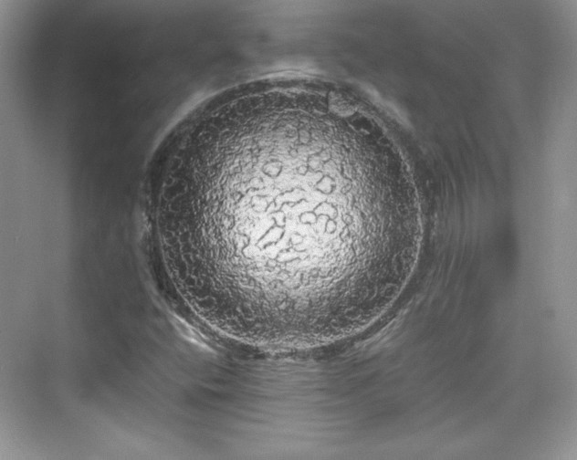 X0000076061400200609291213
